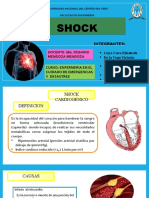 Shock Cardiogénico