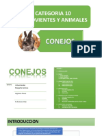 Trabajo Conejos Final.pdf