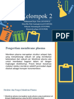 Kelompok 2 MEMBRANE PLASMA