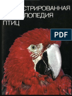 Иллюстрированная Энциклопедия Птиц (PDFDrive)