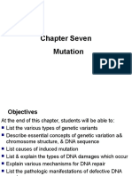 Chapter Seven on Genetic Mutation and DNA Repair