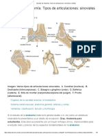 Apuntes de Anatomía. Tipos de Articulaciones - Sinoviales y Sólidas