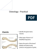 BSC Osteology Practical