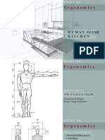 Ergonomics: - Human - Kitchen