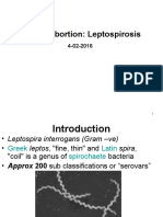 Bovine Abortion Caused by Leptospirosis Bacteria