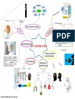 Mapa Mental de La Comunicacion