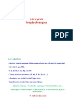 3.Cycles biogéochimiques