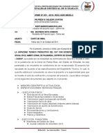 Informe Emitido