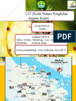 ppt pkm