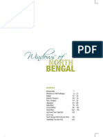 Windows of North Bengal