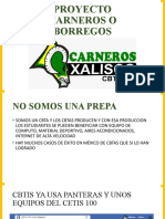 Proyecto Borrego