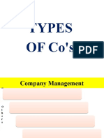1. Types of Companies