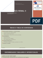 vasculopatias RENAL II