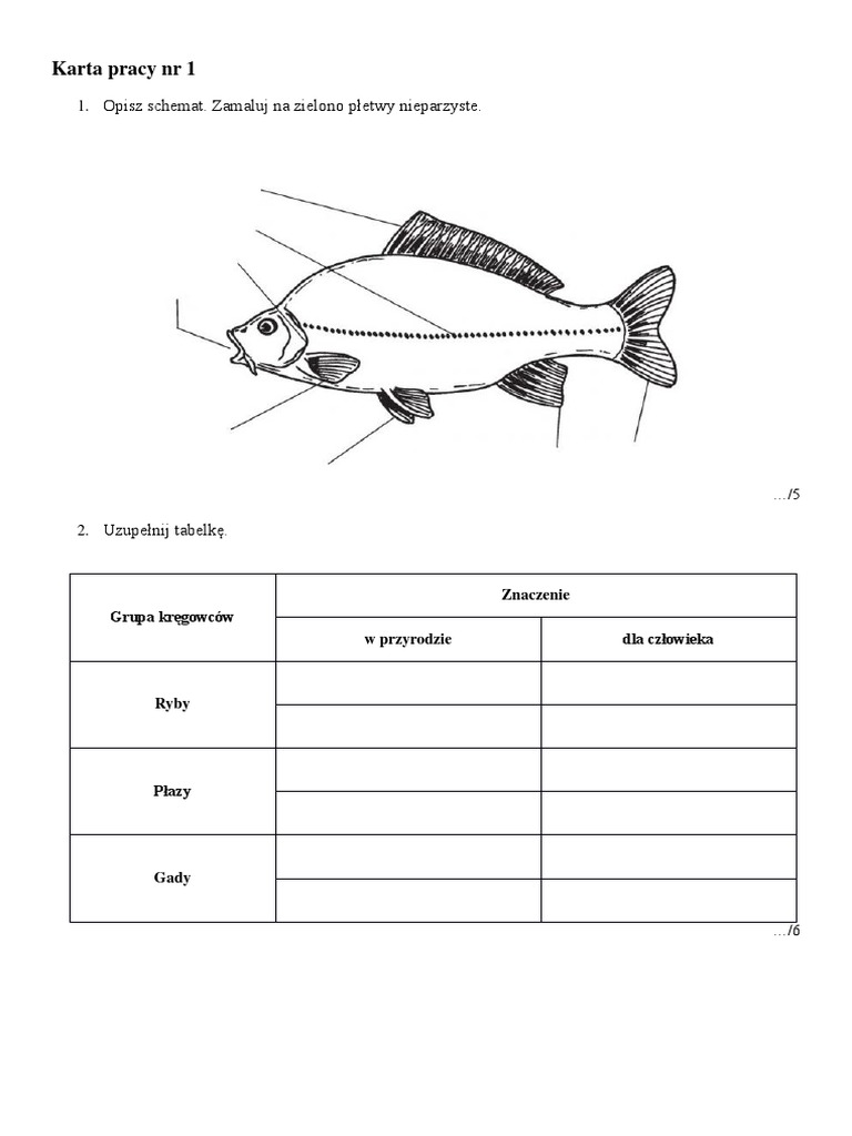 Nowa Era Biologia Klasa 6 Biologia Graficzne Karty Pracy Dla Klasy 6 Biologia P - vrogue.co