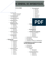 Clasificacion de Antibioticos