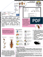 CHAGAS POSTER