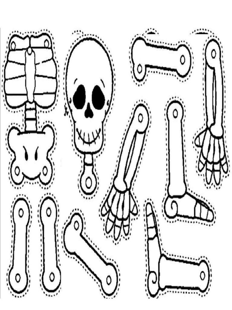 Esqueleto para Armar 2 | PDF