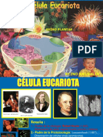 Citologia I y Ii