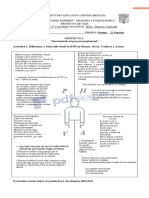 Guias Etica Solucionadas-Copiar