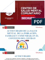 Autocuidado de La Salud Mental de La Población, Familias y Comunidad, en El Contexto Del Covid-19