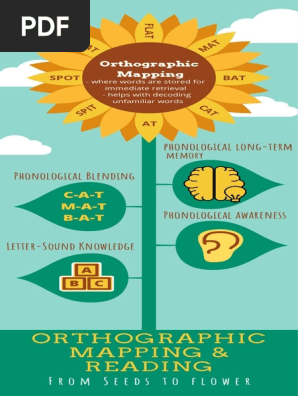 orthographic mapping  3 