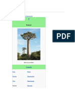 Adansonia