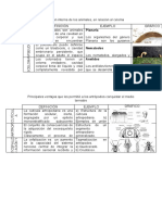 Tarea2 Diversidad