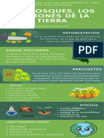 deforestacion infografia