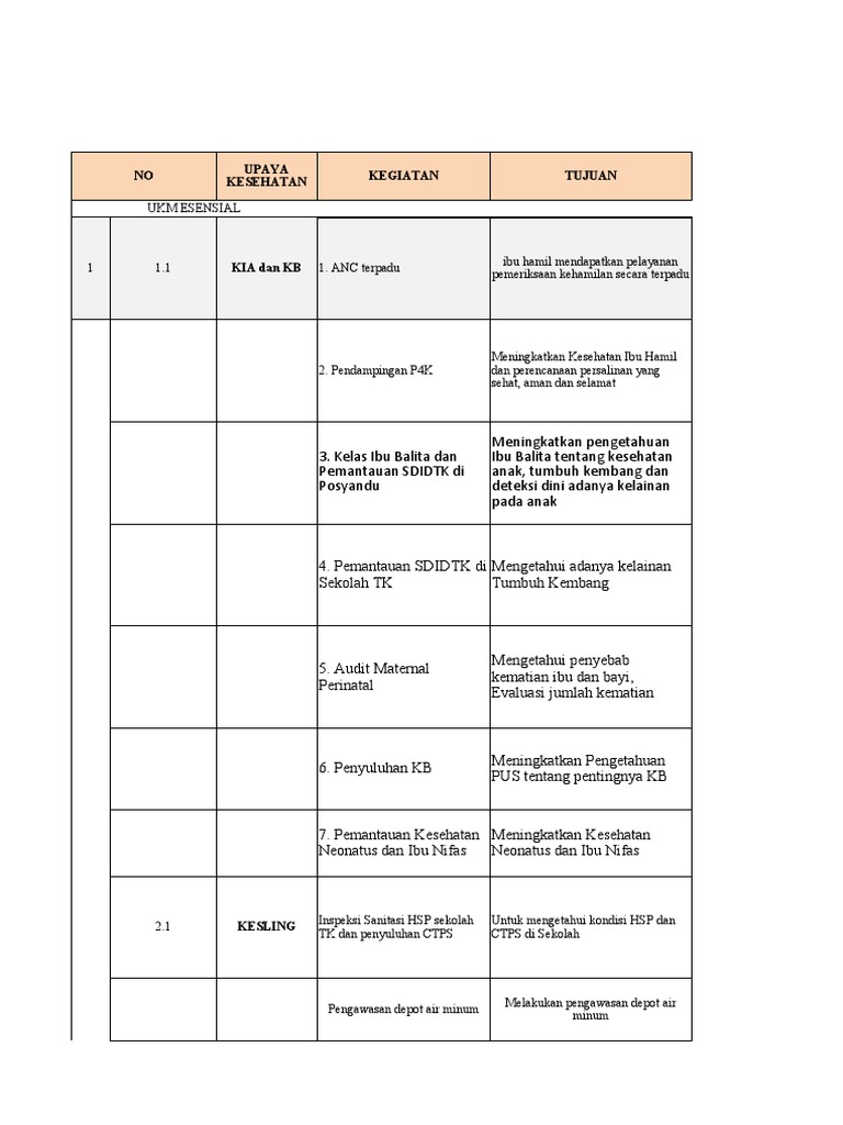 Contoh RPK Bulanan | PDF | Pengembangan Diri | Kesehatan Holistik