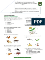 Evaluación Diagnóstica Ciencias Naturales - Grado 4