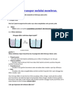 Mekanisme Transpor Melalui Membran