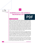 Morphology of fungus