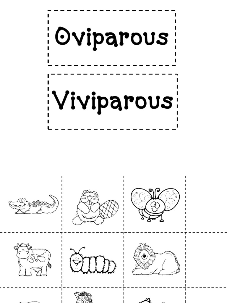 Oviparous and Viviparous Sort Student PDF