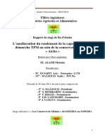 L'Amelioration Du Rendement de - EL ALAMI Mounia - 2173