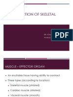 Muscle Contraction