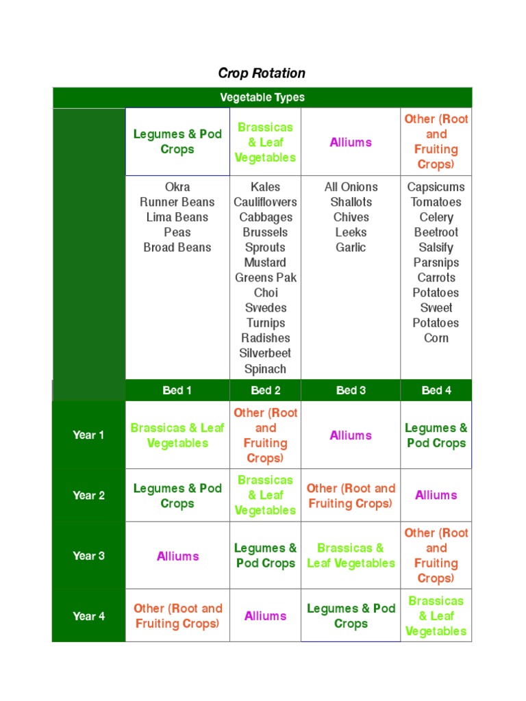 Crop Rotation: Other (Root and Fruiting Crops) | PDF