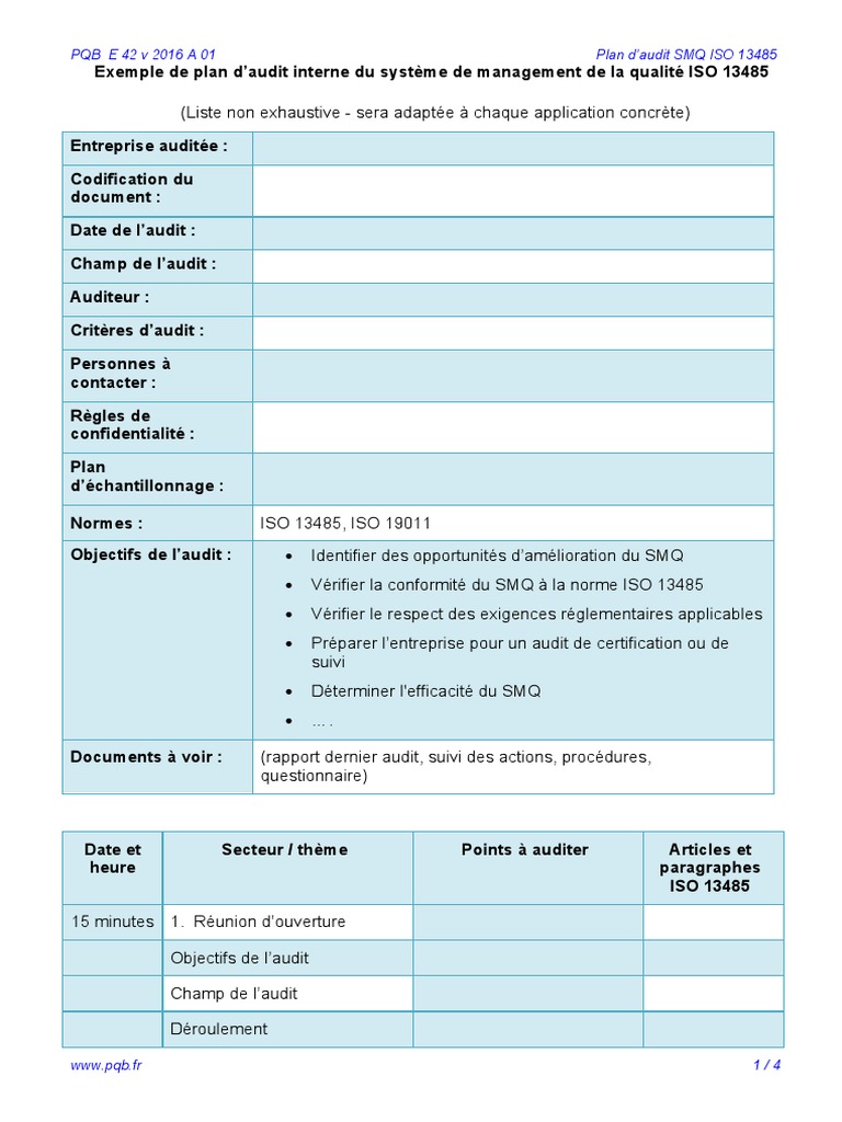 Iso 9001 Version 2015 Risques Et Opportunités Exemple Xls Exemple Plan D'audit SMQ | PDF | Système de management de la qualité |  Gestion de processus