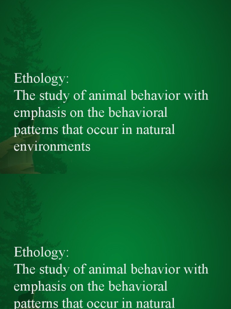 Ethology The Study of Animal Behavior With Emphasis On The Behavioral Patterns That Occur in