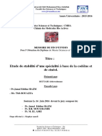 Etude de Stabilite D'une Speci - Abderrahmane BETTAHI - 4174