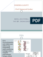 Isolasi DNA - Reza Elvinda - 2020412023