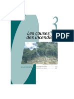 Les Causes Des Incendies: Sommaire