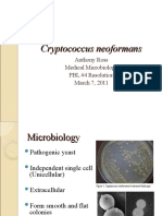 Cryptococcus Neoformans