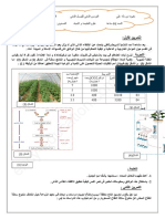 Dzexams 1as Sciences TCST - d2 20201 1255552