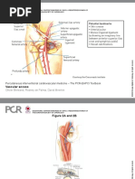 Cath Lab Orientation and Procedures Guide | PDF | Percutaneous Coronary ...