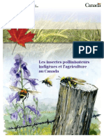 Les Insectes Pollinisateurs Indigènes Et L'agriculture Au Canada