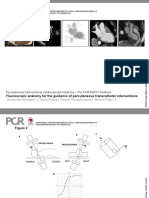 Percutaneous Interventional Cardiovascular Medicine - The PCR-EAPCI Textbook