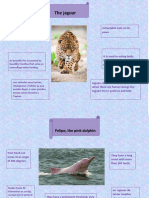 Crear Un Cartel Descriptivo de Dos Animales