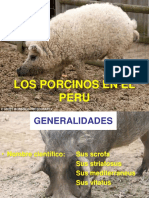 Los Porcinos en El Perú