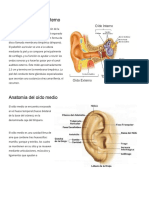 Anatomía Del Oído Externo