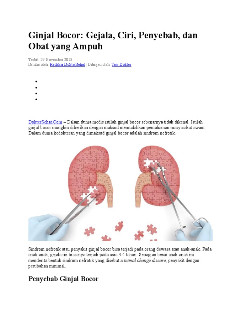 Ginjal Bocor, Gejala, Ciri, Penyebab Dan Obat Yg Ampuh | PDF